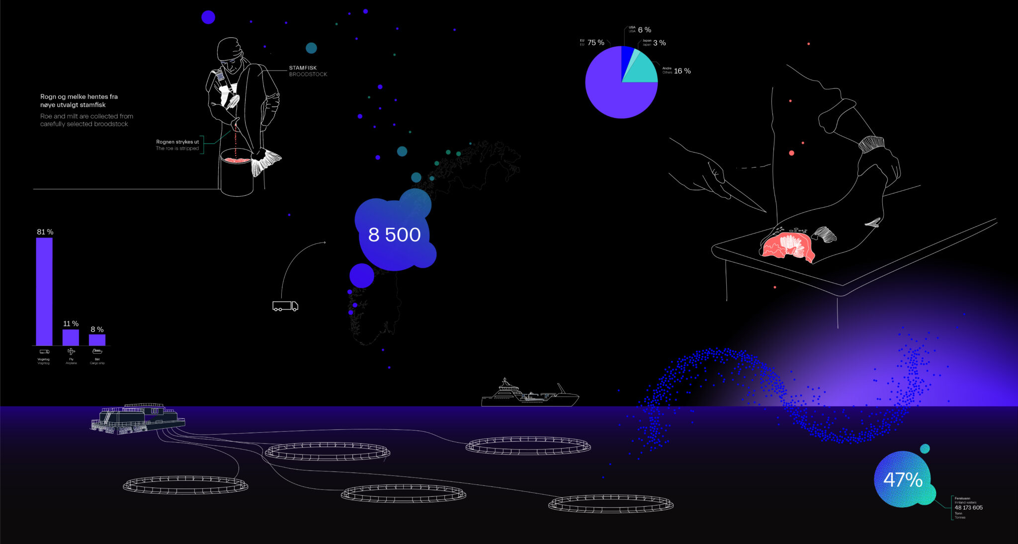 Storeblå profilbok grunnlagsfil 1