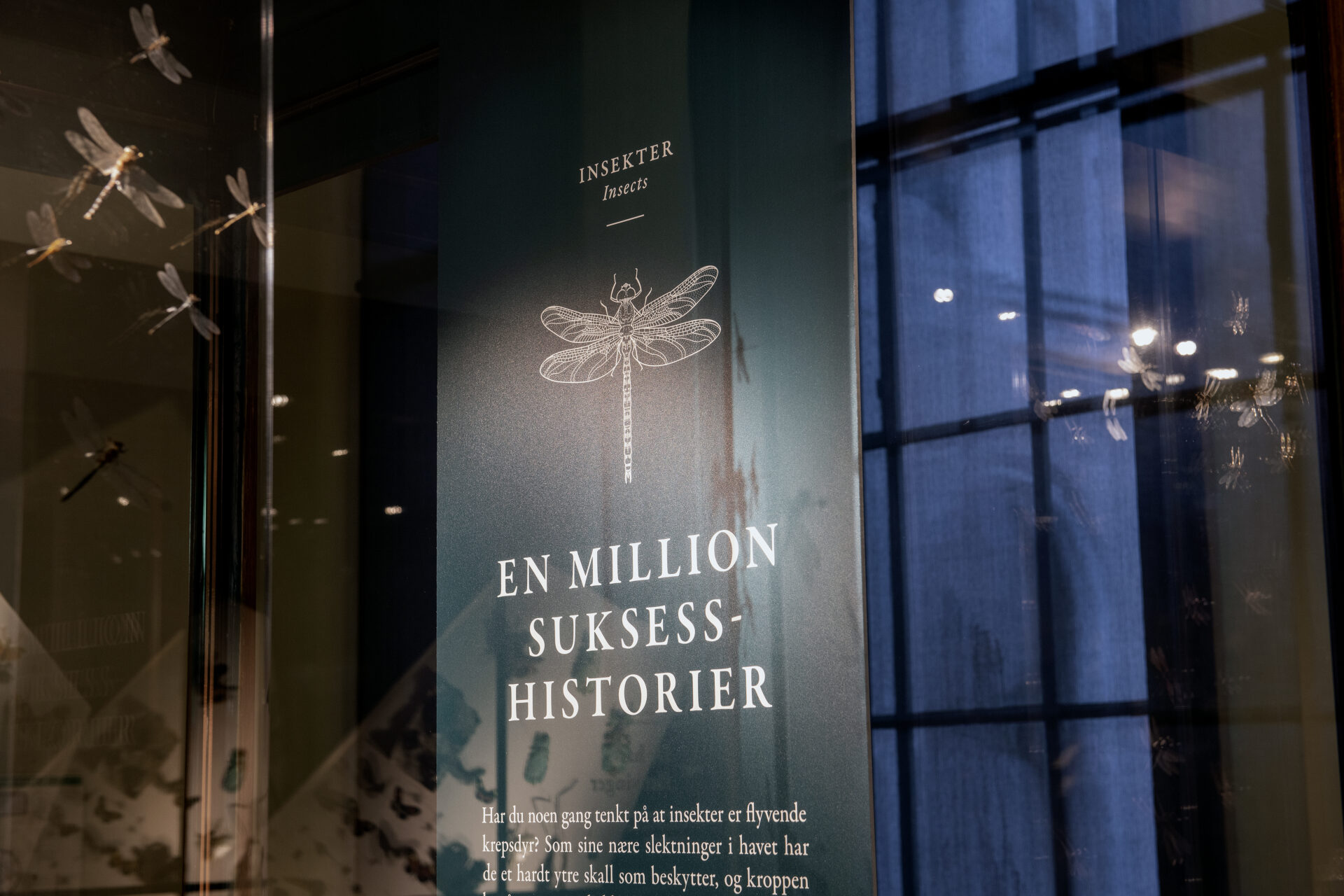 Skilt og design på MP3