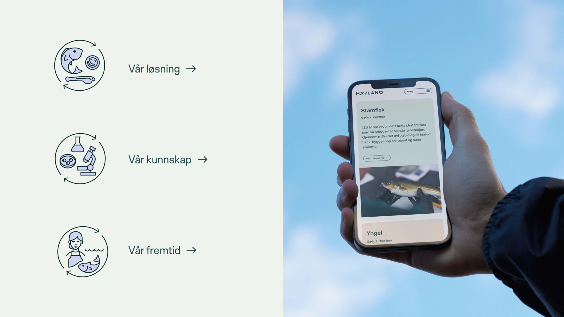 Haltenbanken havland var losning havbruk nettside mobil ux nettside