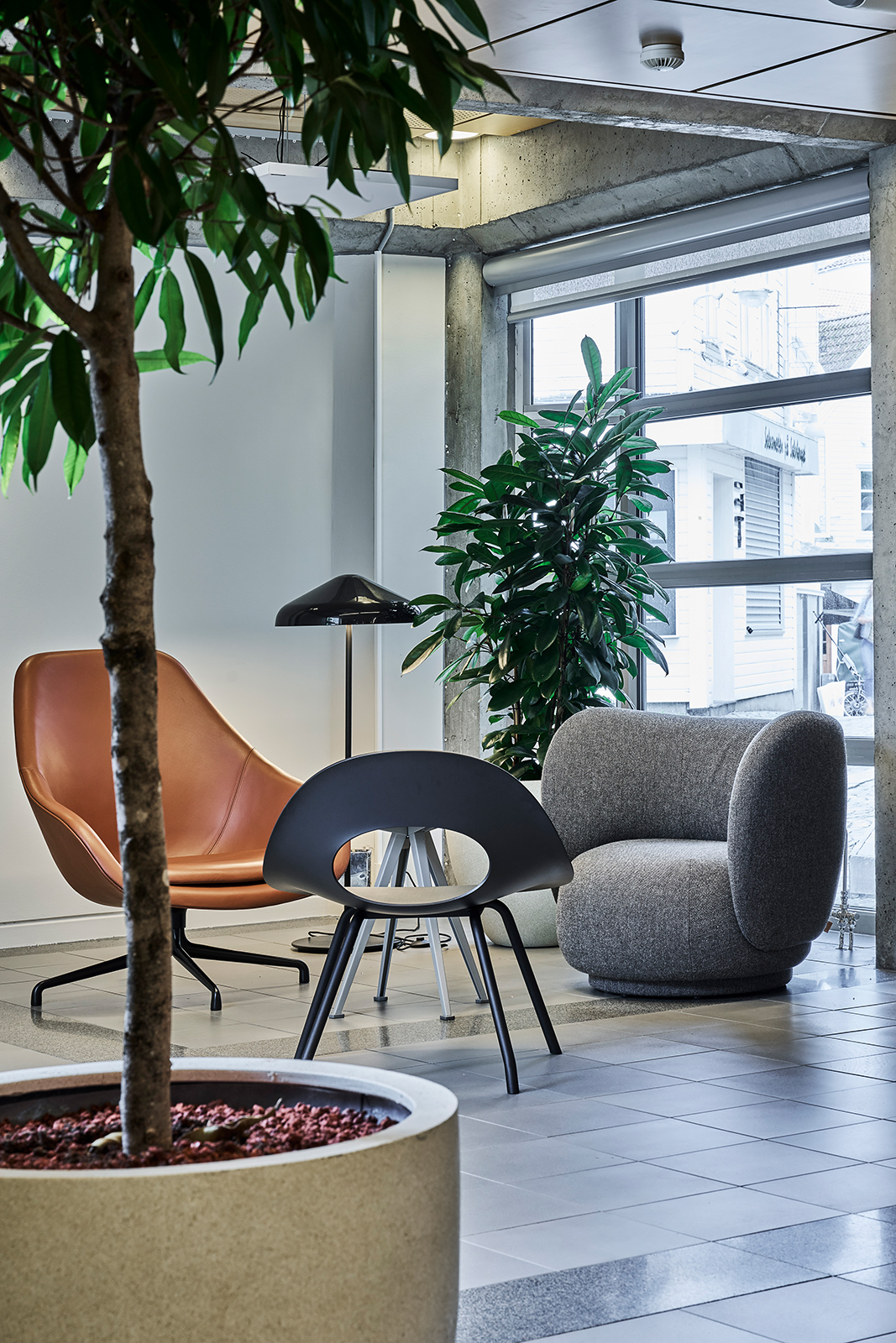 Tre ulike loungestoler i skinn og tekstil plassert rundt en plante foran et stort vindu mot gateplan.