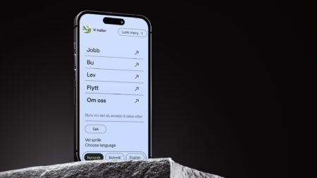 Haltenbanken vikallar hardanger voss nettside ux design strategi 16