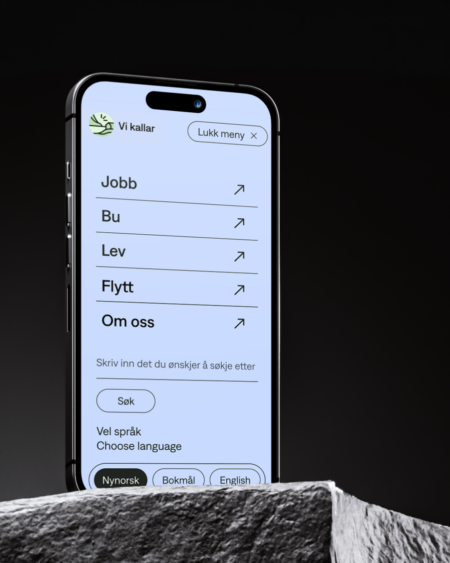 Haltenbanken vikallar hardanger voss nettside ux design strategi 4