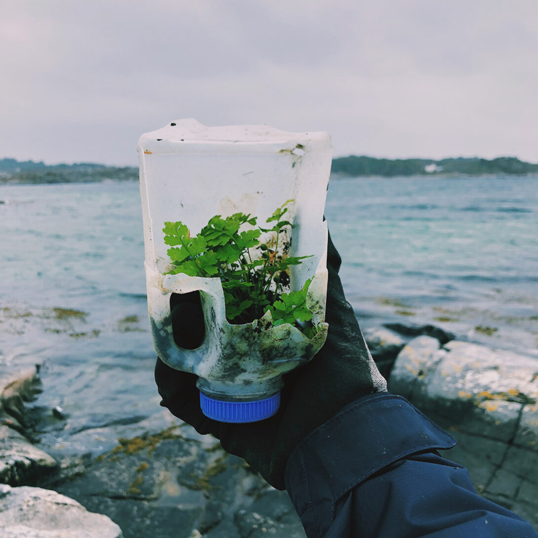 Plastkanne funnet under strandrydding, med ny vekst av planter inni – et vanlig funn ved norske strender